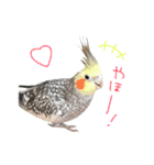 はーとのおはなのベルちゃん（個別スタンプ：2）