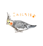はーとのおはなのベルちゃん（個別スタンプ：3）