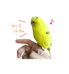 はーとのおはなのベルちゃん（個別スタンプ：5）