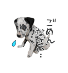 はーとのおはなのベルちゃん（個別スタンプ：11）