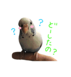はーとのおはなのベルちゃん（個別スタンプ：12）