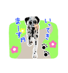 はーとのおはなのベルちゃん（個別スタンプ：13）