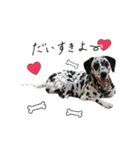 はーとのおはなのベルちゃん（個別スタンプ：21）