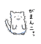ゆるふわ白猫星人とたぬき星人（個別スタンプ：4）