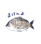 魚釣り(リアル)（個別スタンプ：6）