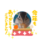 それいけキキさん5（個別スタンプ：4）