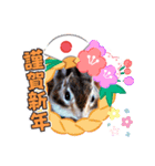 それいけキキさん5（個別スタンプ：5）