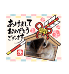 それいけキキさん5（個別スタンプ：7）