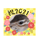 それいけキキさん5（個別スタンプ：9）