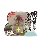 それいけキキさん5（個別スタンプ：11）