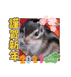それいけキキさん5（個別スタンプ：13）