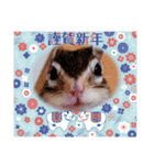 それいけキキさん5（個別スタンプ：15）
