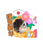 それいけキキさん5（個別スタンプ：16）