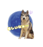 K家のこどもたち（個別スタンプ：13）