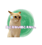 K家のこどもたち（個別スタンプ：14）