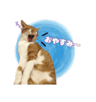 K家のこどもたち（個別スタンプ：16）