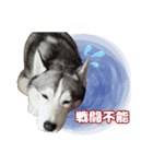 K家のこどもたち（個別スタンプ：18）