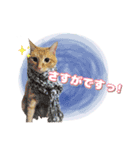 K家のこどもたち（個別スタンプ：21）