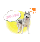 K家のこどもたち（個別スタンプ：24）