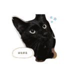 ときすたんぷ②（個別スタンプ：15）
