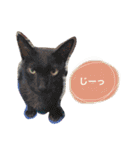 ときすたんぷ②（個別スタンプ：37）