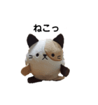 ねこまるくん（リアル）（個別スタンプ：1）