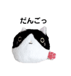 ねこまるくん（リアル）（個別スタンプ：5）
