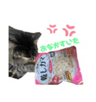 ねむちゃんすたんぷ（個別スタンプ：3）