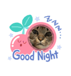 ねむちゃんすたんぷ（個別スタンプ：13）