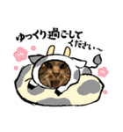 ねむちゃんすたんぷ（個別スタンプ：15）