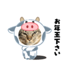 ねむちゃんすたんぷ（個別スタンプ：16）