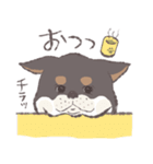 黒柴うた（個別スタンプ：1）