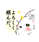 うさぎのゆきかぜ。（個別スタンプ：10）