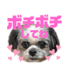 ひめ♡ranも少し（個別スタンプ：1）