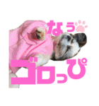 ひめ♡ranも少し（個別スタンプ：8）
