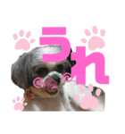 ひめ♡ranも少し（個別スタンプ：9）