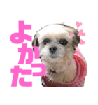 ひめ♡ranも少し（個別スタンプ：11）