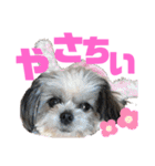 ひめ♡ranも少し（個別スタンプ：19）