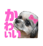 ひめ♡ranも少し（個別スタンプ：22）