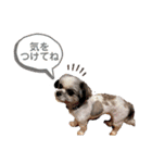 ひめ♡ranも少し（個別スタンプ：23）