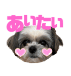 ひめ♡ranも少し（個別スタンプ：25）