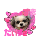 ひめ♡ranも少し（個別スタンプ：30）