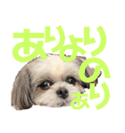ひめ♡ranも少し（個別スタンプ：31）