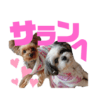 ひめ♡ranも少し（個別スタンプ：33）