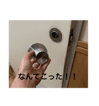 めいきちそうきち（個別スタンプ：3）