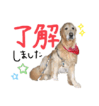 KIDくんスタンプ！（個別スタンプ：4）