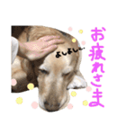 KIDくんスタンプ！（個別スタンプ：6）