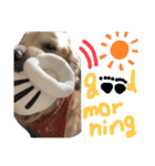 KIDくんスタンプ！（個別スタンプ：7）