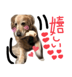 KIDくんスタンプ！（個別スタンプ：9）