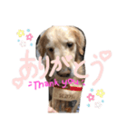 KIDくんスタンプ！（個別スタンプ：10）